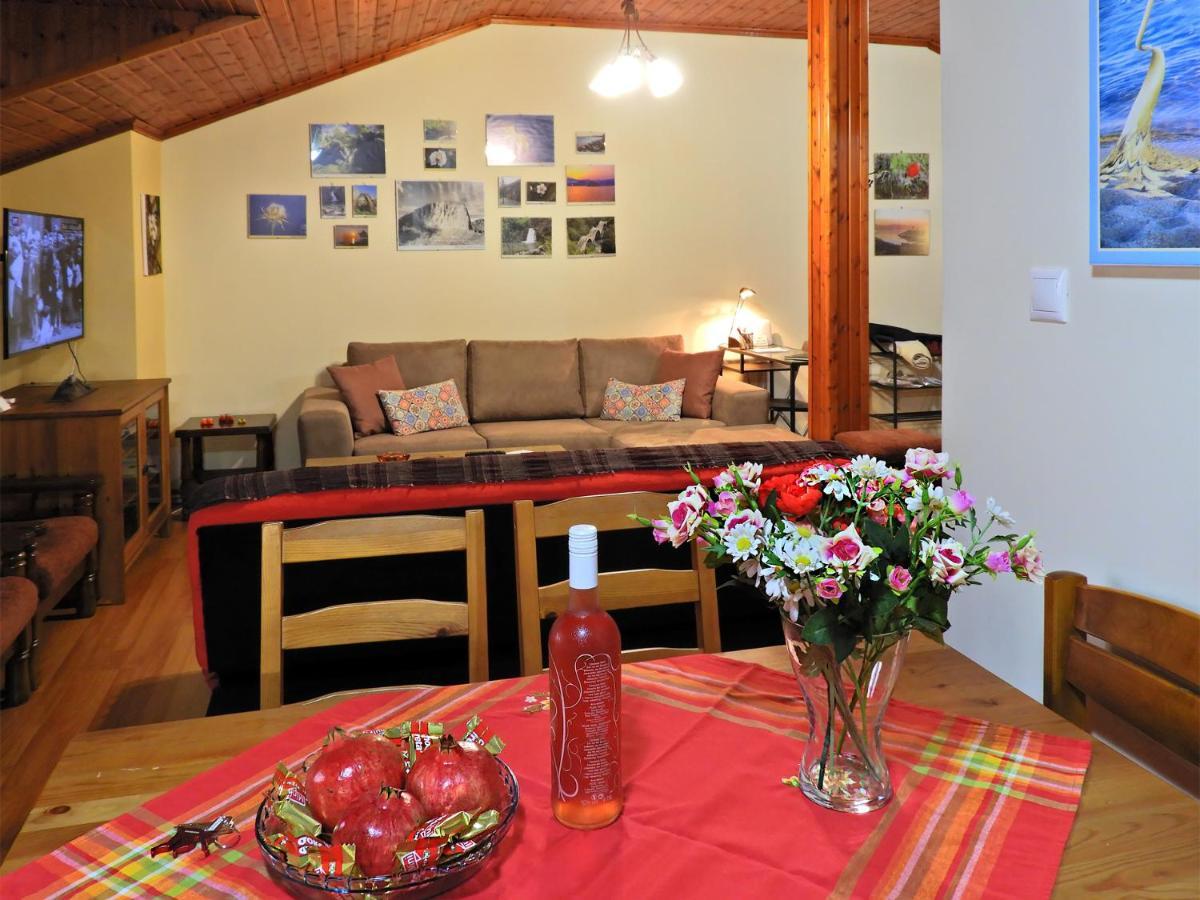 Panoramaloft - Quality, View, Sea & Mountain Apartment Litóchoron Ngoại thất bức ảnh